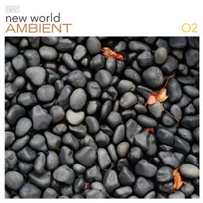 New World Ambient, Vol. 2