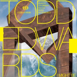 I Might Be Todd Edwards