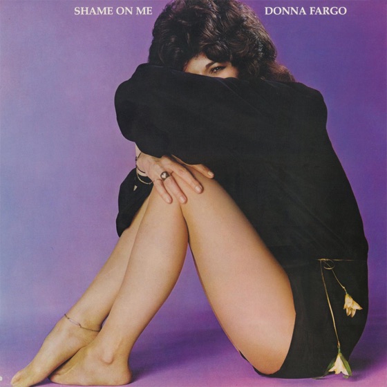 Cover artwork for Shame On Me