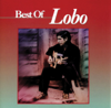 I'd Love You to Want Me (Re-Recorded In Stereo) - Lobo