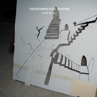 Wait & See (feat. Chikinki) - EP - Tiefschwarz