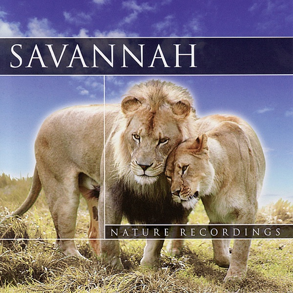 Savannah