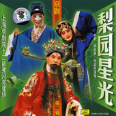 Famous Opera Artists Vol. 2 (Li Yuan Xing Guang Di Er Ji)