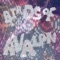 Invasion - Birds of Avalon lyrics