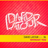 Without You (Radio Edit) [feat. Sil]