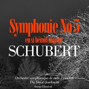 Schubert: Symphony No.5 in B Flat Major D. 485 - EP