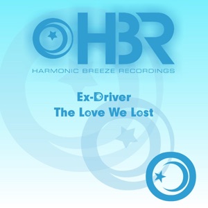 The Love We Lost - Single