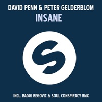 Insane - EP - David Penn & Peter Gelderblom
