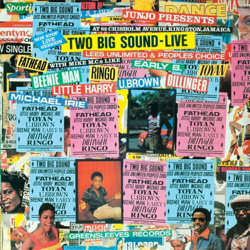 Junjo Presents: Two Big Sound - Live - Various Artists Cover Art
