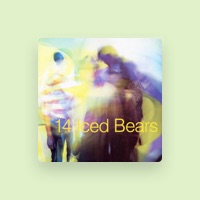 14 Iced Bears