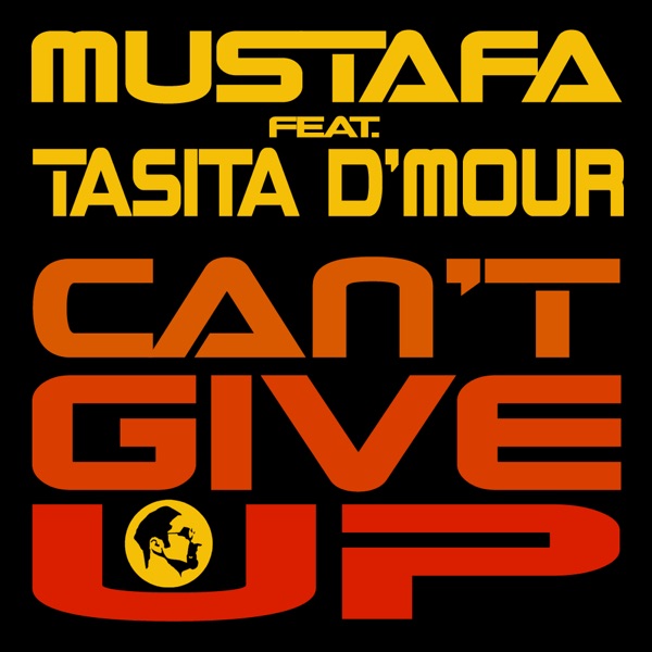 Can't Give Up