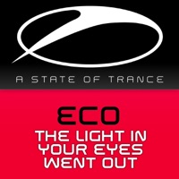 The Light In Your Eyes Went Out - Single - Eco