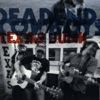 DeadEnd Cowboys - Burn This Town Down