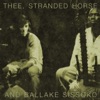 Stranded Horse Churning Strides Thee, Stranded Horse and Ballake Sissoko - EP