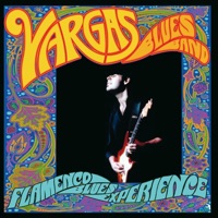 Flamenco Blues Experience - Vargas Blues Band