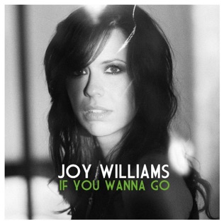 Joy Williams If You Wanna Go