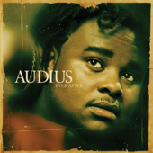 Cover art for Ever After by Audius