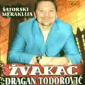 Voz Za Pozarevac