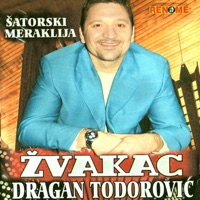 Dragan Todorovic Zvakac - Srpska Setnja