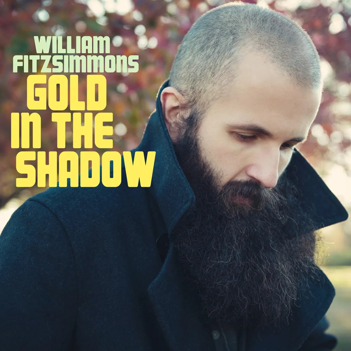 William Fitzsimmons - Gold In the Shadow (Deluxe Edition) (2011) [iTunes Plus AAC M4A]-新房子