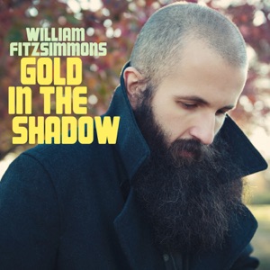Chord Gitar Blood And Bones - William Fitzsimmons