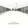 Joy Division