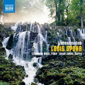 Spohr, L.: Sonatas for Flute and Harp Music