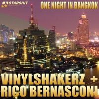 One Night in Bangkok - Vinylshakerz & Rico Bernasconi