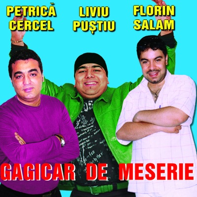 Gagicar de Meserie / I'm a Playboy