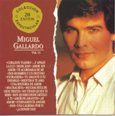 Miguel Gallardo: Coleccion Espectacular 20 Exitos, Vol. 2