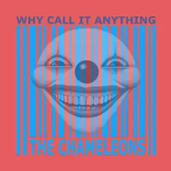 Why Call It Anything - The Chameleons
