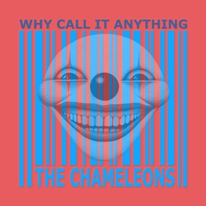 Why Call It Anything