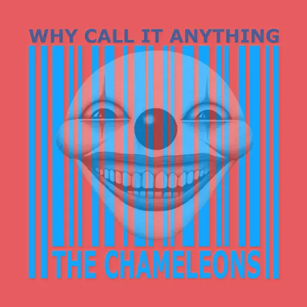 Anyone Alive? — The Chameleons