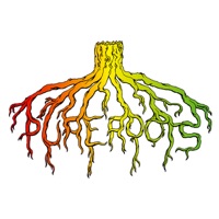 Jah the Dubbest (feat. Junior Reid) - Single - Pure Roots