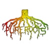 Pure Roots