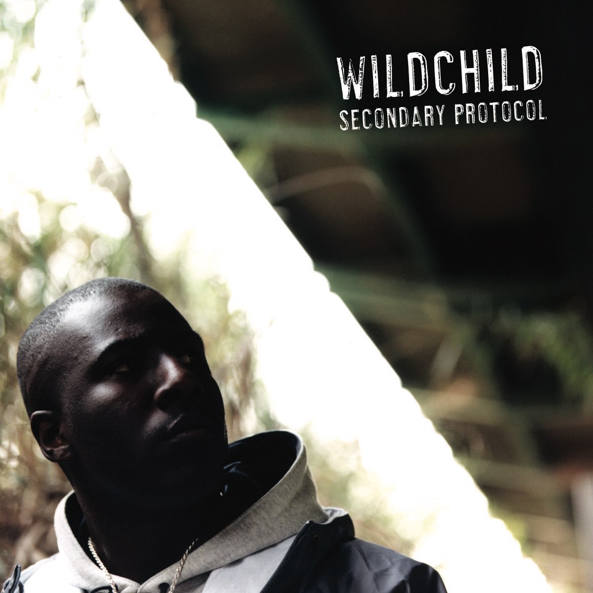 ‎Secondary Protocol - Album by Wildchild - Apple Music