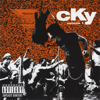 CKY - 96 Quite Bitter Beings artwork