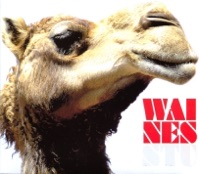 I’m Northbound, Babe