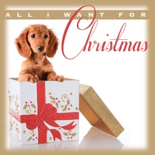 Chuck Berry - Run Rudolph Run