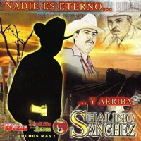 Nadie Es Eterno Y Arriba Shalino Sanchez - El As De La Sierra