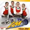 Zillertaler Musikanten
