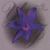 Yolanda - Get 2 Know U