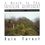 A Month In the Brazilian Rainforest: Rain Forest - EP