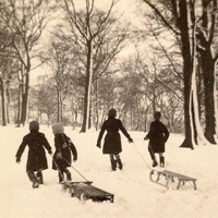 Nils Olav - Nils Olav