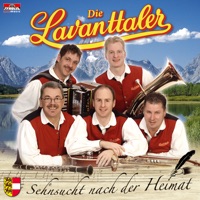 Es lebe die Volksmusik
