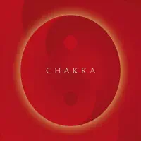 The seven chakras