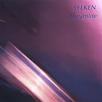 Night Wings — Sylken