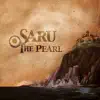 Saru - Distant Recollection