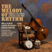 The Melody of Rhythm artwork