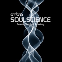 Power Supply / Lowkey - Single - Soulscience